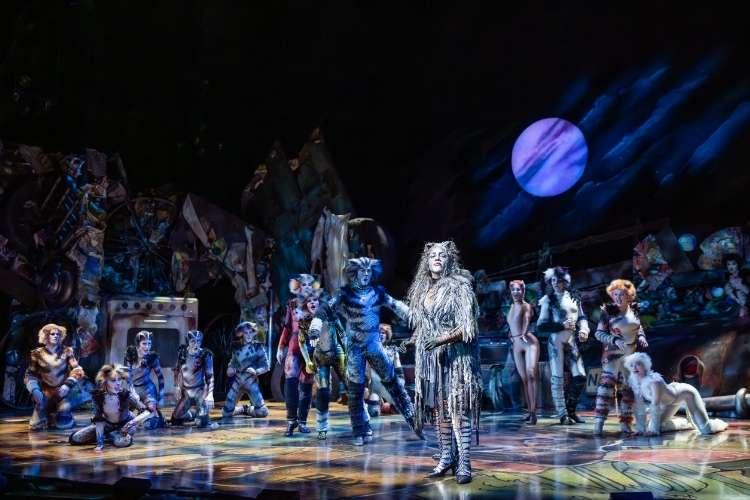 Cats Daniel Boud large 2025 2